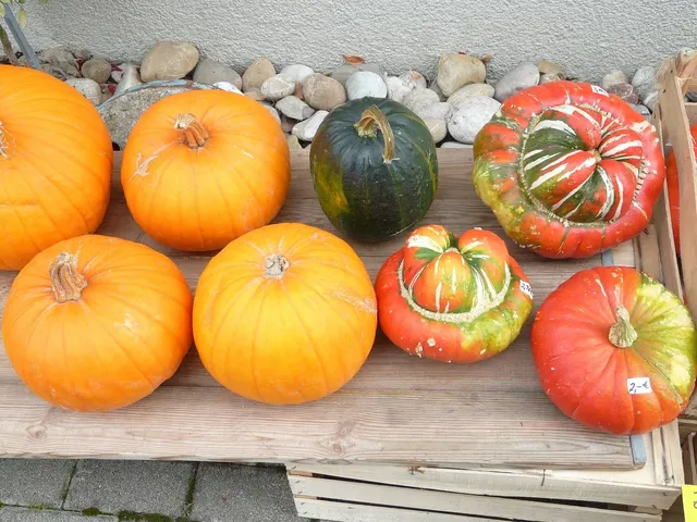 pippeloen1