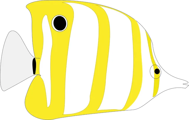 zwemeland2